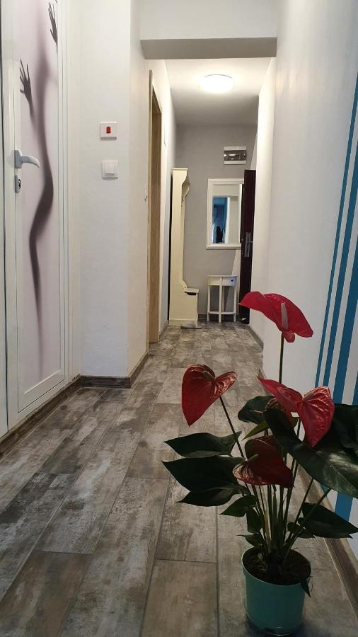 Apartament Sanny Appartamento Plovdiv Esterno foto